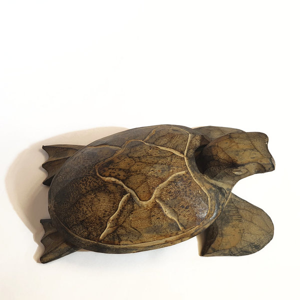 Schildkröte mit abnehmbarem Panzer, "& NICHTS drunter", 20cm